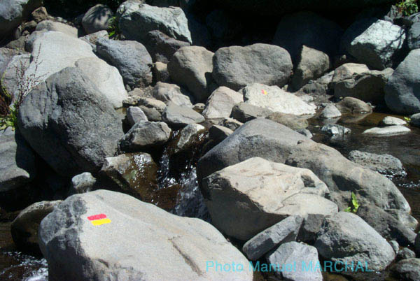 MAFATE19_RIVIERE_DES_GALETS