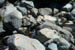 MAFATE19_RIVIERE_DES_GALETS